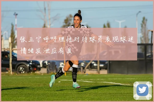 张玉宁呼吁理性对待球员表现球迷情绪发泄应有度