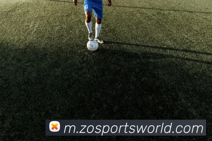 中欧体育平台生态图